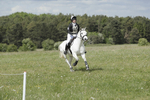 BVHT 140517  NXC -262