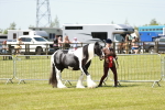 SBM_05488