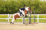 SBM_005365