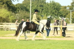 SBM_67588