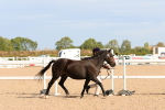 SBM_17881