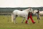 SBM_04267