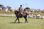 3E7A7713