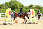 SBM_007248