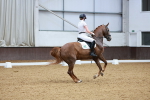 SBM_002617