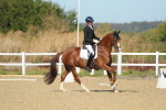 SBM_000832
