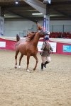 SBM_02374
