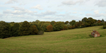 245_IMG_0078