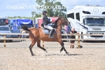 BPP_2364