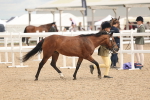 SBM_16969