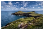 The Rumps