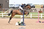 Cls 36 1.10m Amateur Quali portfolio