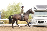SBM_00700