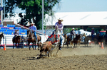 3HRodeo8-11-25_PRCASteer_00344_