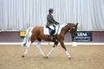 SBM_000482
