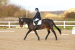 SBM_000325