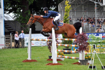 EQUISCOT 9292