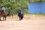 WJ6_7903