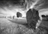 Avebury BW 2