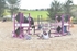 BPP_0501