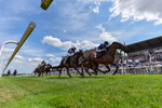 Race 1 13.35pm Lady Jane Bethell Memorial Amateur Jockeys' Handicap portfolio