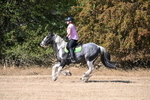 WJ6_8511