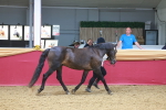 SBM_16590