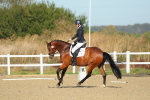 SBM_000631