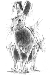 available originals portfolio