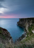 Bempton Cliffs 2