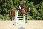 131-FORTSIDE_COBRA-Freddie_Carden-SUNTrotUp+SJ portfolio