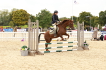 J12 - Junior Pony 55cm Championship portfolio