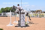 BPP_1677