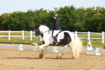 SBM_006983