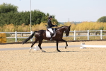 SBM_005696