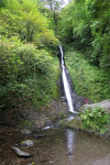 Dartmoor _ DR 29