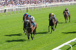 120725-Race 4-Al Qareem-5769