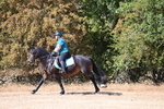 WJ6_8505