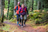 Glentress-2448