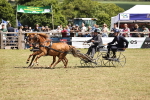 SBM_15176