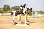 SBM_03853