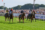 220826-Race 6-Sale Shark-1537