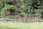 FOM_0697