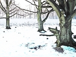 The Tree trees winter 2