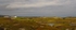 Lanscape, 