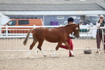 SBM_19060