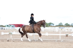 SBM_03195