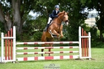Cls 13 1.10m Amateur Qualifier portfolio