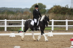 SBM_000931