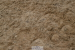 250719A-161001-08090